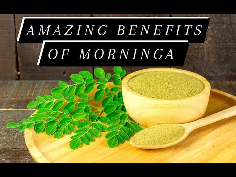 Moringa powder benefits Moringa health benefits Moringa benefits weight ...